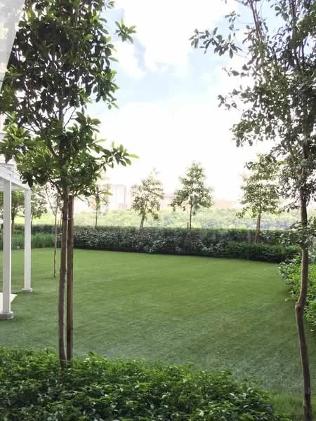Exterior type: landscape garden; features: manicured lawn, mature trees, hedge border, greenery, open sky, well-maintained grass; style: modern.