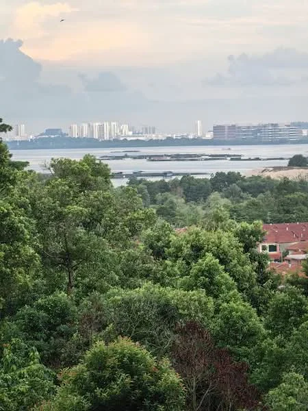 Exterior features: lush greenery, distant city skyline, waterfront view, cloudy sky, urban landscape, residential buildings in the background.