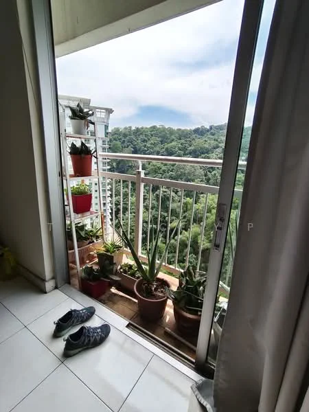 Room features: sliding glass door, white walls, tile flooring, potted plants, balcony railing, outdoor view of greenery, curtains, shoes on the floor; view: garden.