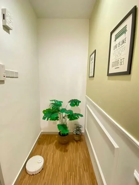 Hallway features: white painted walls, wooden flooring, decorative wall paneling, framed artwork on wall, houseplants in ceramic pots, robot vacuum cleaner; style: modern.