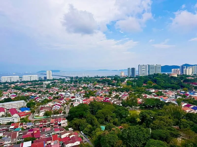 Exterior features: city skyline view, surrounded by greenery, variety of building heights, waterfront view, urban residential area, mixed architectural styles; style: modern.