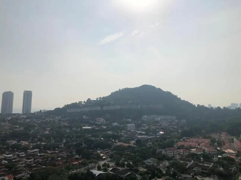 Exterior type: high-rise condominium; features: city skyline view, surrounded by greenery, hillside, multiple high-rise buildings, residential area, urban landscape; style: modern.
