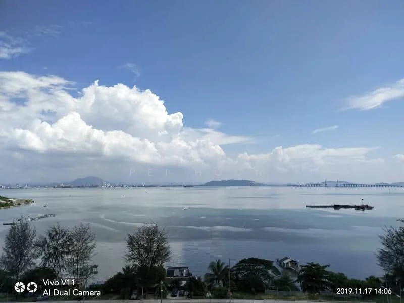 Exterior features: waterfront view, city skyline in background, mature trees, coastal landscape, cloudy sky, distant bridge.