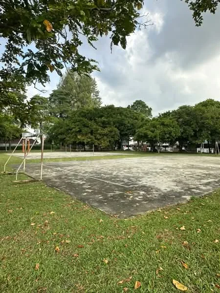 Exterior type: landscape garden; features: open grassy area, concrete surface, surrounded by trees, goalposts, fenced perimeter, manicured lawn, cloudy sky; style: natural.