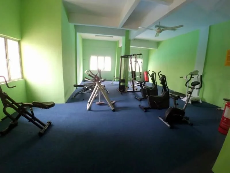Room features: green painted walls, blue carpet flooring, ceiling fan, multiple exercise machines, weight bench, stationary bike, treadmill, pull-up bar, large windows, mirrored wall, fire extinguisher; style: modern.