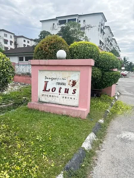 Exterior type: low-rise apartment block; features: signage with the name 'Lotus', pink painted base, manicured shrubs, greenery surrounding the sign, paved pathway, parking area visible, cloudy sky, residential buildings in background; style: modern.