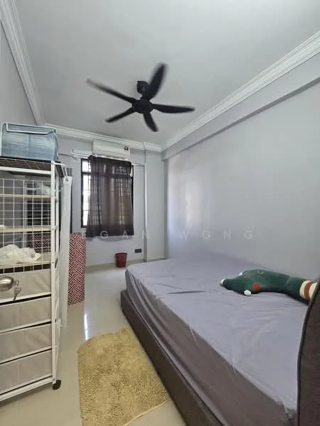 Bedroom features: grey painted walls, white ceiling with crown moulding, single bed with grey bedding, black ceiling fan, flooring with glossy finish, window with blackout curtains, built-in wardrobe, area rug with neutral color; style: modern.