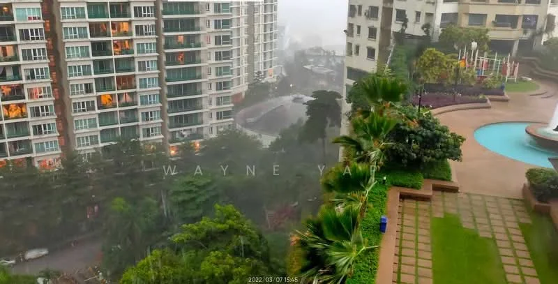 Exterior type: high-rise condominium; features: glass curtain wall facade, recessed balconies, manicured lawn, tropical landscaping, fountain feature, swimming pool, pool deck with loungers, surrounded by mature greenery; style: modern.