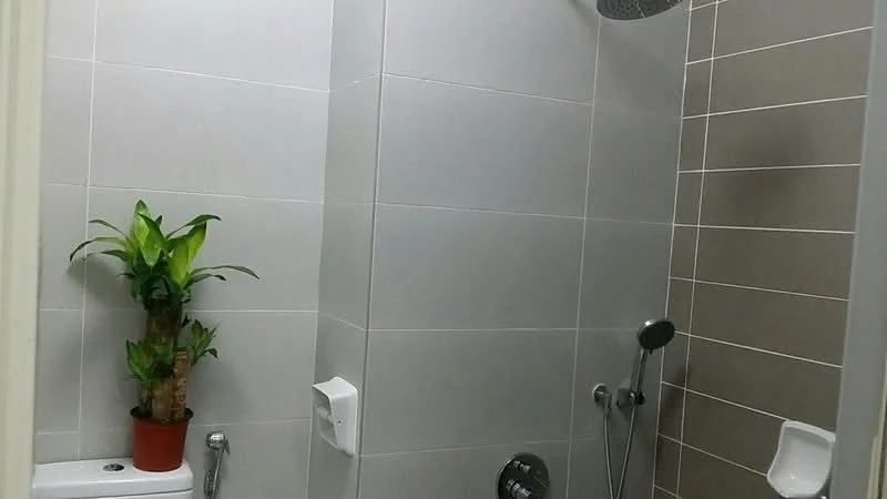 Bathroom features: white tiled walls, grey tiled accent wall, walk-in shower with glass enclosure, rain shower head, handheld shower, chrome basin mixer, one-piece toilet, plant in ceramic pot, wall-mounted soap dispenser, grab bar, towel rack; style: modern.