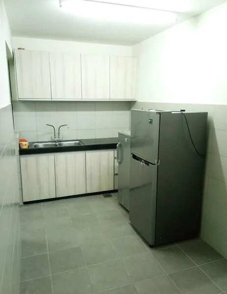 Kitchen features: single-bowl stainless-steel sink, chrome pull-down faucet, black granite countertop, light wood cabinetry, stainless-steel fridge, built-in washing machine, grey ceramic tile flooring, white painted walls, fluorescent ceiling lights; style: modern.