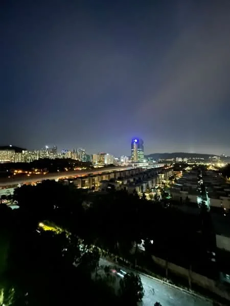 Exterior features: city skyline view at night, illuminated buildings, street lights, road visible in foreground, greenery in foreground, high-rise building with blue lighting; style: modern.