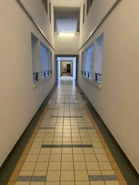Hallway features: white painted walls, tiled flooring with patterned borders, multiple windows, overhead lighting, handrails along the sides; style: modern.