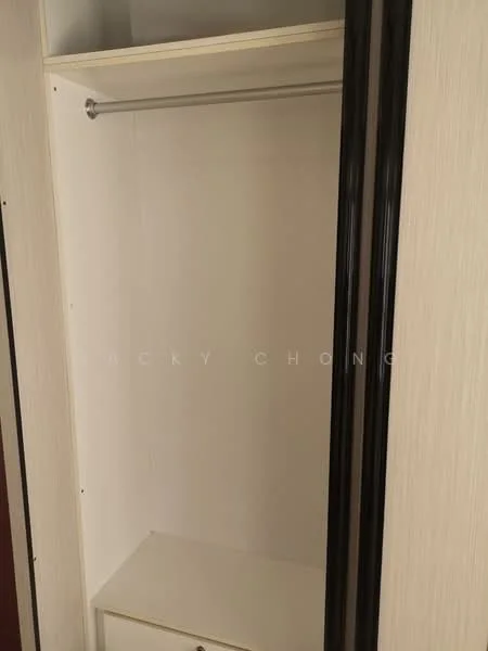 Room features: built-in wardrobe, hanging rod, shelf, light wood finish, minimalist design, no visible doors, empty interior, white interior; style: modern.