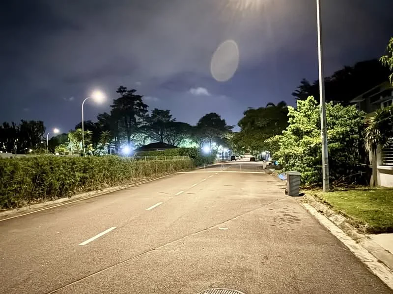 Exterior features: nighttime street view, streetlights, paved road, greenery along the roadside, trees lining the street, bushes or hedges, sidewalk, garbage bin.