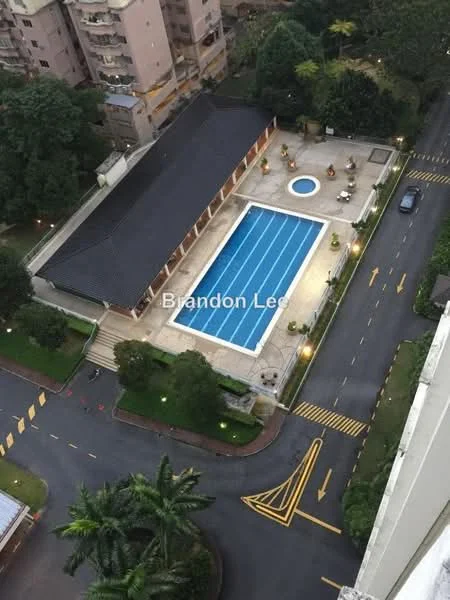 Exterior type: swimming pool deck; features: rectangular swimming pool with blue tiles, circular children's pool, pool deck with loungers, landscaped garden area, paved walkway around the pool, outdoor lighting fixtures, surrounding palm trees, access road with marked lanes; style: modern.