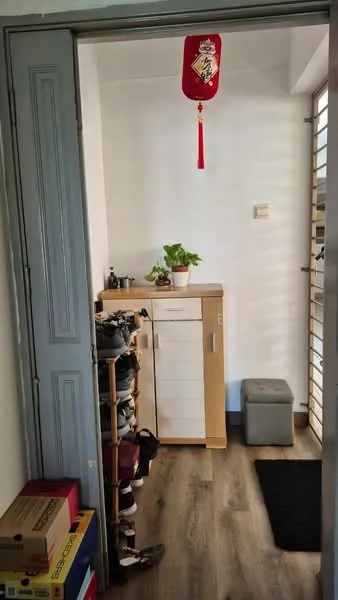 Room features: white painted walls, wooden flooring, shoe rack, small storage cabinet, potted plant, grey storage box, black mat, door with security grill; style: modern.