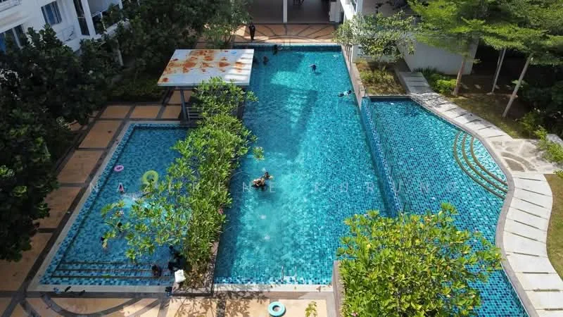 Exterior type: swimming pool deck; features: infinity pool, lap pool, pool deck with loungers, tropical landscaping, manicured lawn, surrounded by greenery; style: modern.