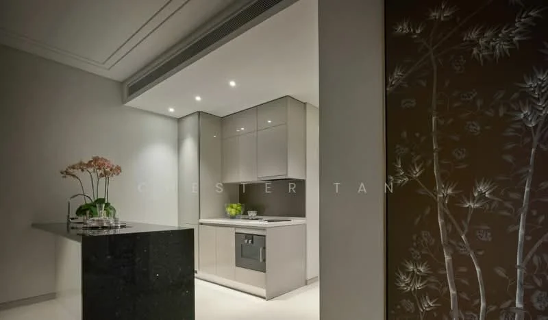 Kitchen features: grey cabinetry, black granite countertop, built-in oven, stainless-steel sink, chrome pull-down faucet, recessed downlights, white walls, smooth ceiling, decorative wall panel with floral design; style: modern.