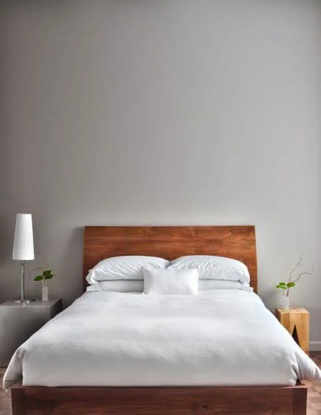 Bedroom features: king-size bed, wood headboard, white bedding, two bedside tables, table lamp, decorative plants, grey painted walls, carpeted flooring; style: modern.