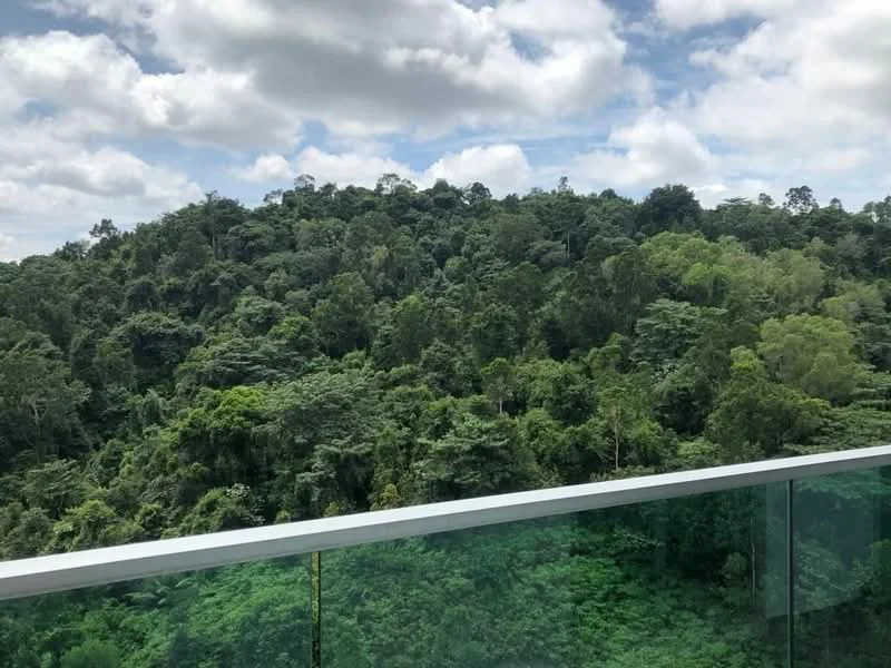 Room view: forest.