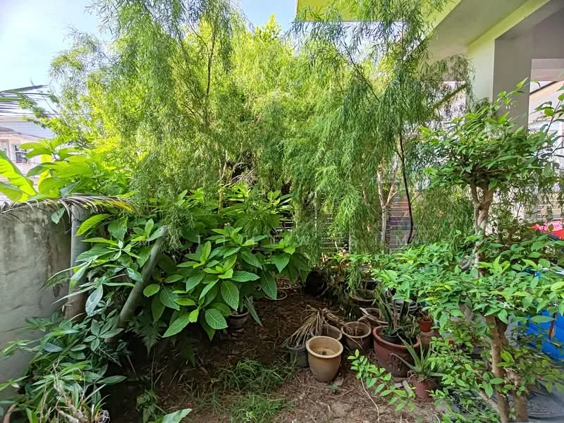 Exterior type: landscape garden; features: lush greenery, various potted plants, tall shrubs, garden soil, fence, sunlight filtering through leaves; style: tropical-modern.