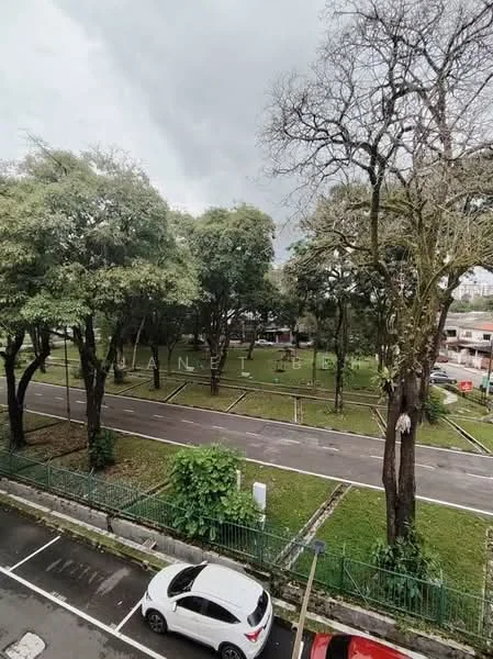 Exterior features: tree-lined street, manicured lawn, paved walkway, park area, residential buildings in background, street parking, fence along the road.