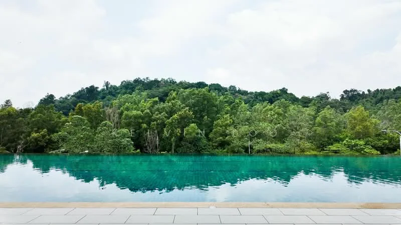 Exterior type: swimming pool deck; features: infinity pool, surrounded by lush greenery, stone-paved deck, clear blue water, landscaped garden, mountain view in background; style: modern.