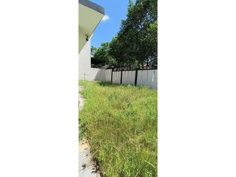 Exterior features: overgrown grass, concrete pathway, fenced perimeter, trees in background, clear blue sky.