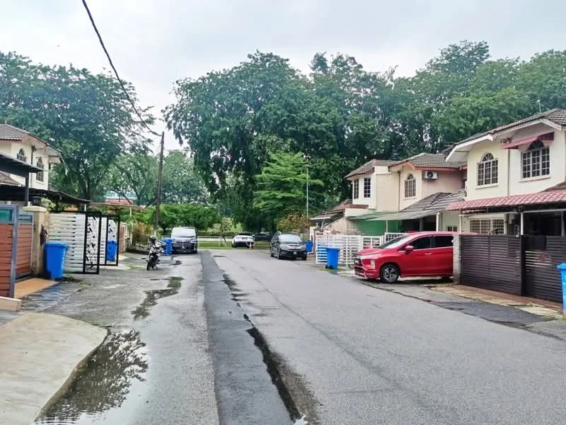 Exterior type: linked terrace house; features: two-storey linked terrace houses, paved driveway, manicured lawns, street lined with trees, visible parked cars, residential street, curbside drainage, overcast sky; style: modern.