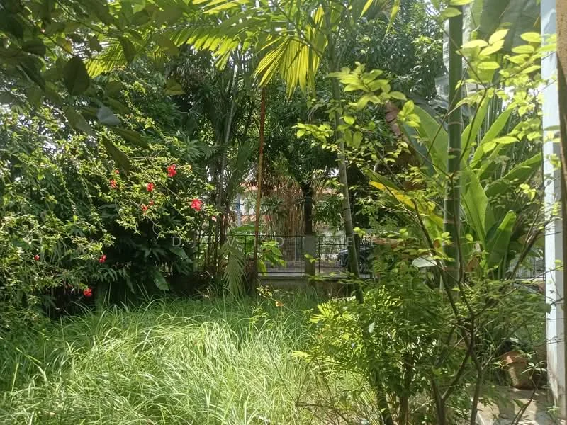 Exterior type: landscape garden; features: lush greenery, tropical plants, flowering shrubs with red flowers, overgrown grass, palm trees, fenced area in background, variety of foliage, natural sunlight; style: tropical.
