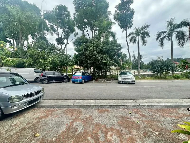 Exterior features: paved driveway, street view, palm trees, tropical landscaping, manicured lawn, multiple parked cars.