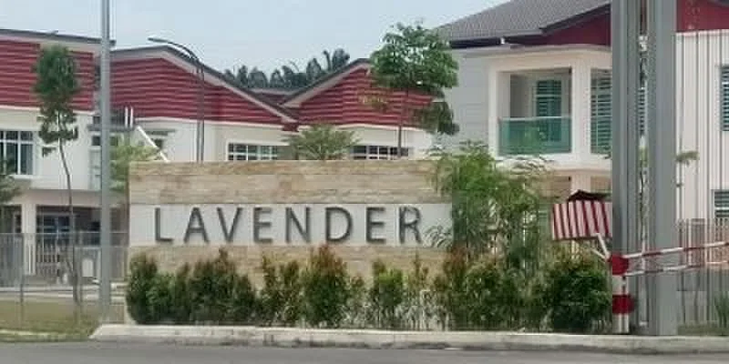 Exterior features: stone-clad sign with the word 'LAVENDER', landscaped greenery in front of the sign, gated entrance, surrounding residential buildings, paved driveway, palm trees in the background; style: modern.