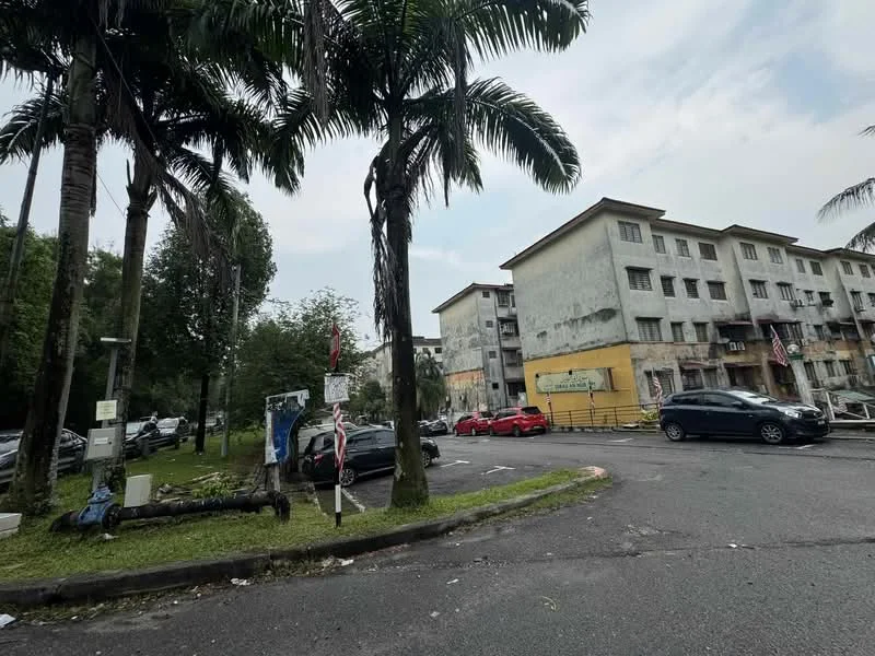 Exterior type: low-rise apartment block; features: weathered concrete facade, multiple storeys, palm trees in foreground, parking lot with cars, surrounding greenery, flagpole with flags, sidewalk, street view; style: traditional.
