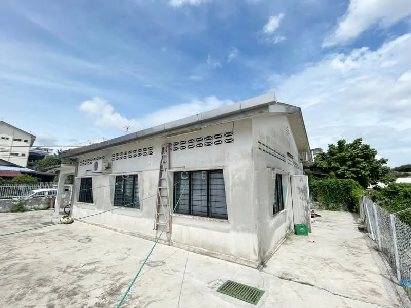 Exterior type: detached bungalow; features: white painted facade, flat roof, approximately single-storey, metal window grilles, concrete flooring, ladder against the wall, surrounded by greenery, fenced perimeter, visible drainage grate; style: minimalist.