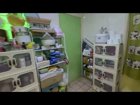 Laundry features: shelving unit with multiple compartments, plastic storage bins, various cleaning supplies, tiled flooring, green painted walls, curtain with animal print, light source from ceiling, open storage area.