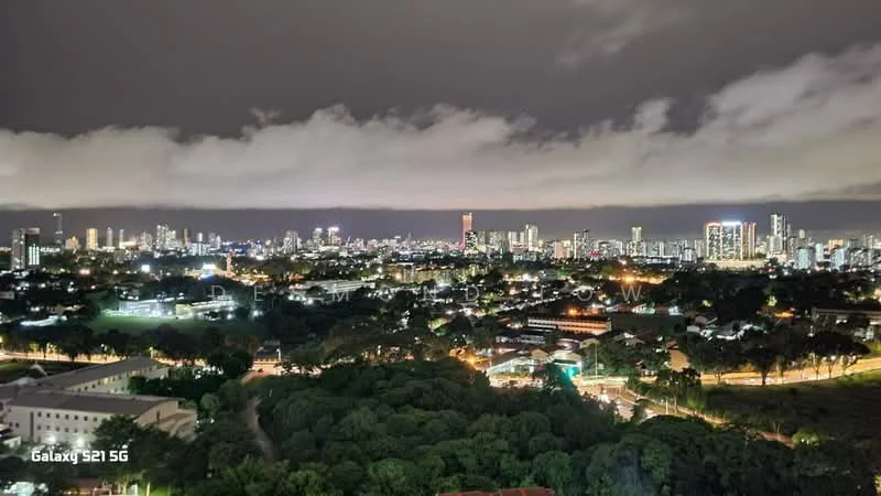 Exterior features: city skyline view, nighttime lighting, urban landscape, greenery in foreground, high-rise buildings in background, cloudy sky; style: modern.