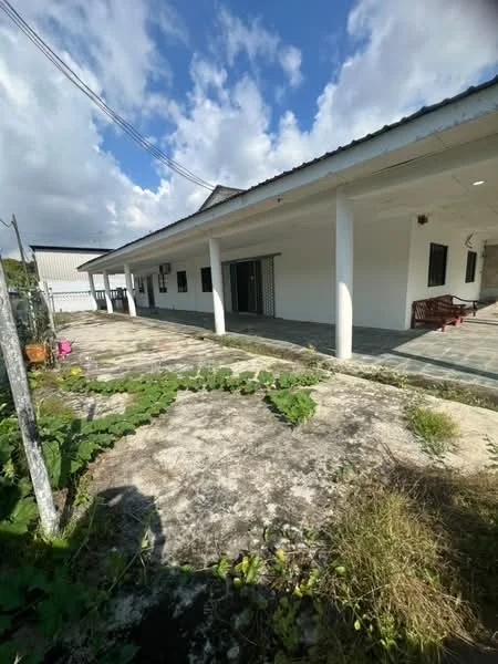 Exterior type: detached bungalow; features: white painted facade, flat roof, single-storey, concrete flooring, manicured lawn, surrounded by greenery, outdoor seating area, fenced perimeter, driveway, garden area with plants; style: modern.
