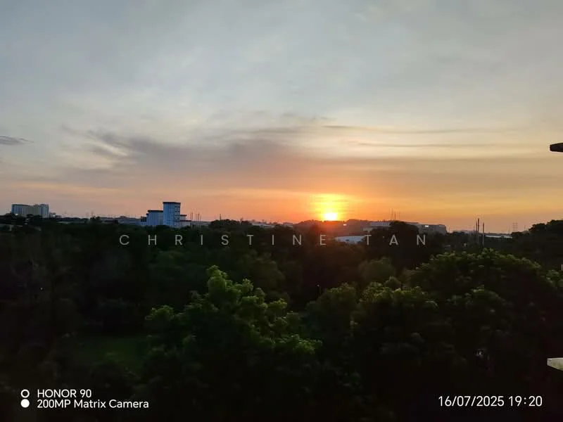Exterior features: sunset view, greenery in foreground, city skyline in background, clear sky, trees, urban landscape.