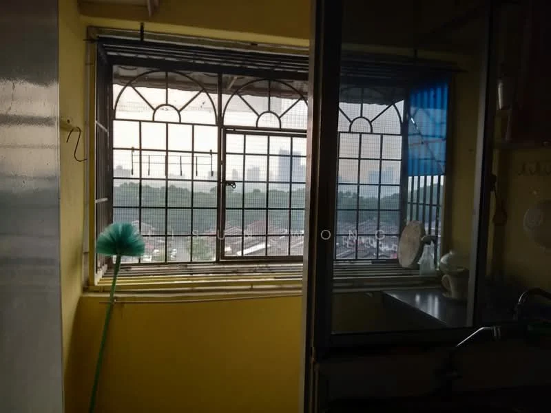 Kitchen features: yellow painted walls, metal window frame, grid-patterned window screen, sink, countertop, kitchen utensils visible, cleaning tool, city skyline view; view: city.