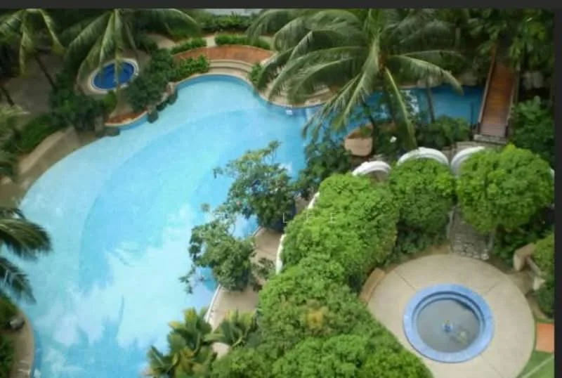 Exterior type: swimming pool deck; features: infinity pool, landscaped garden with tropical plants, palm trees, circular jacuzzi, stone-paved walkway, pool deck with loungers, water features, surrounding greenery; style: tropical-modern.