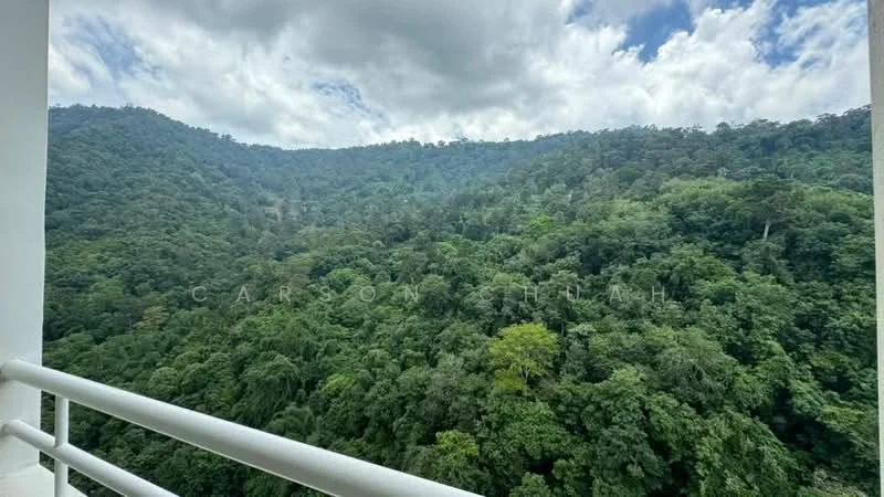 Room view: forest.