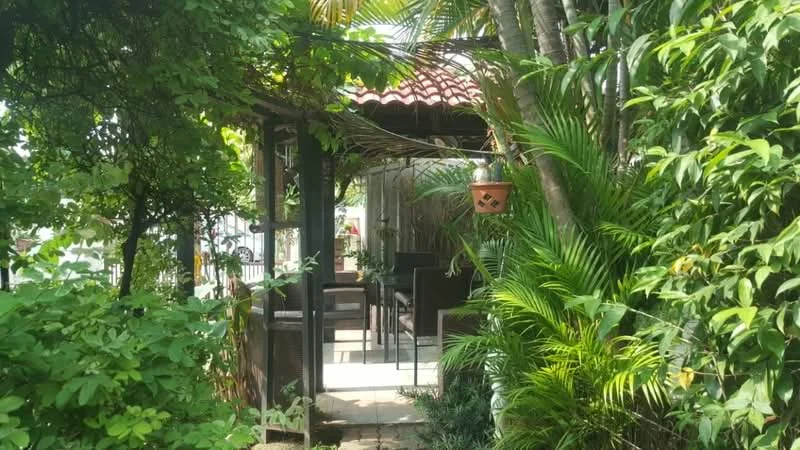 Exterior type: landscape garden; features: lush greenery, tropical plants, paved walkway, wooden pergola, terracotta roof, outdoor seating area with chairs, hanging planter, fenced area, shaded area, stone pathway; style: tropical-modern.
