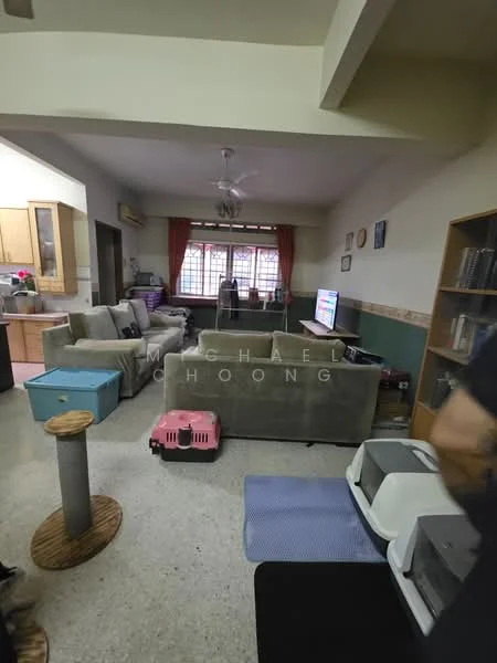 Living features: 3-seater fabric sofa in grey, 2-seater fabric sofa in grey, coffee table, wall-mounted TV, TV console, ceiling fan, area rug, decorative wall art, windows with sheer curtains, carpeted flooring, bookshelf, cat tree, pet carrier.