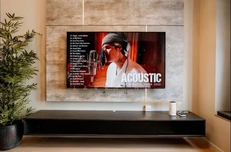 Living features: wall-mounted flat-screen TV, concrete feature wall, black media console, decorative indoor plant in pot, wooden flooring, recessed lighting, sound system speakers, decorative items on console; style: modern.