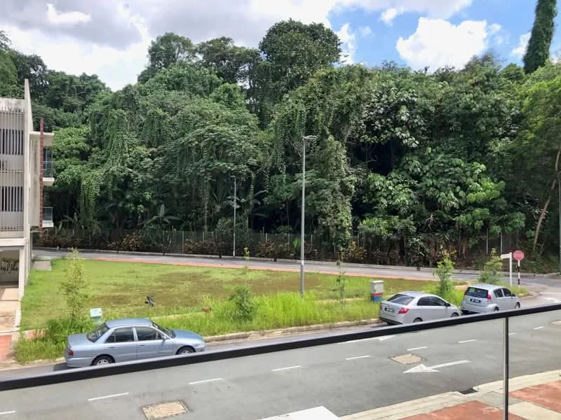 Exterior features: lush greenery, tall trees, open grassy area, paved road, parked cars, street lighting, sidewalk.