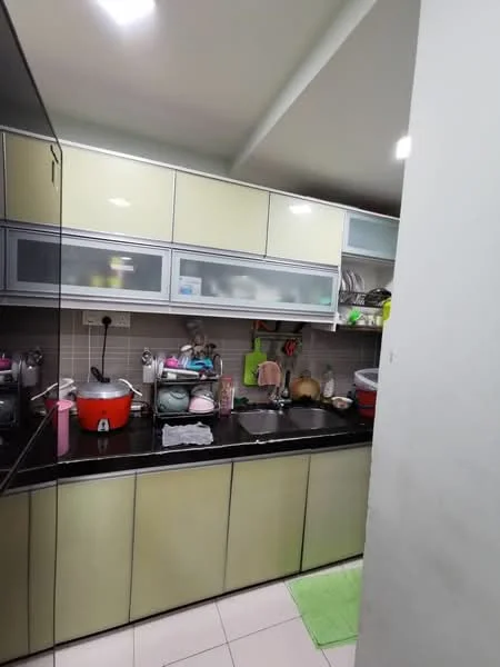 Kitchen features: black granite countertop, light green cabinetry, stainless-steel sink, double-bowl sink, chrome faucet, built-in cabinets, ceramic tile flooring, wall-mounted shelves, various kitchen appliances, kitchen utensils, dish rack, green mat on floor; style: modern.
