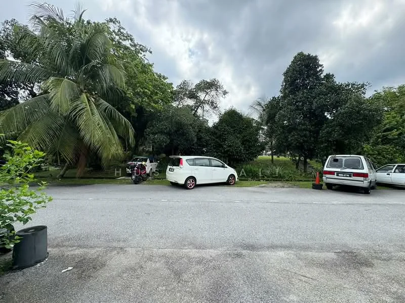 Exterior features: paved driveway, two parked cars, lush greenery, palm trees, mature trees, suburban street view, grass area.