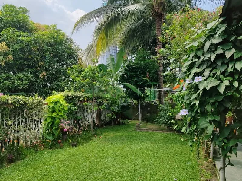 Exterior type: landscape garden; features: manicured lawn, tropical landscaping, mature trees, flowering plants, fence with climbing vines, paved pathway, clothesline, palm tree; style: tropical-modern.