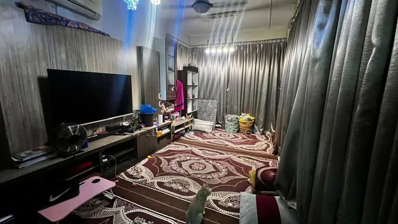 Living features: wall-mounted TV, black TV console, ceiling fan, recessed lighting, large window with curtains, decorative area rug with intricate pattern, wooden flooring, shelving unit, various decorative items, basket for storage, cat visible; style: modern.