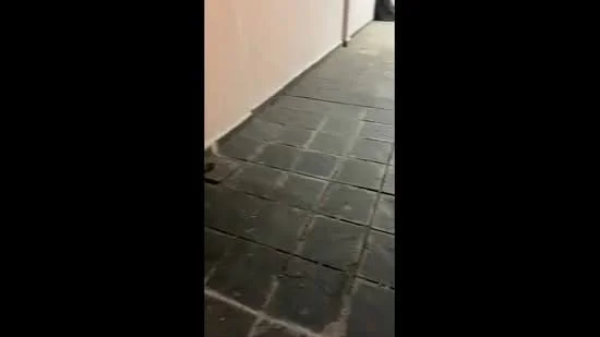 Room features: grey stone flooring, white painted walls.